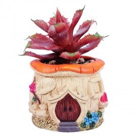 Wonderland polyresin house planter with succulents