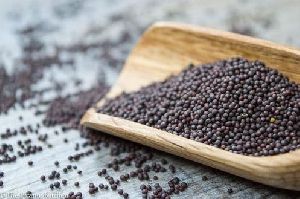 Brown Mustard Seeds