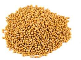 Dried Mustard Seeds