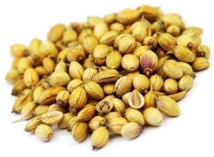 dry coriander seeds