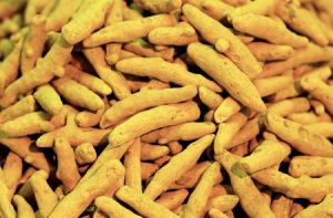 Dry Raw Turmeric Finger,