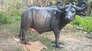 African Buffalo Statue