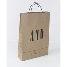 Kraft Paper bag with twisted Paper Handle