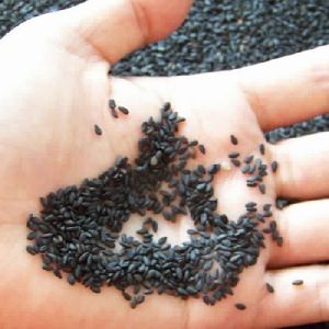 Natural Black Sesame Seed