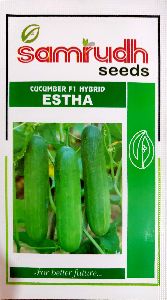 Hybrid Cucumber Seeds