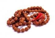 Rudraksha Beads Mala