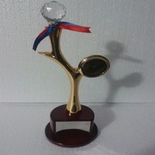 Metal Gold Polished Trophy