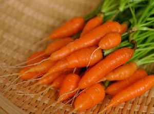 Fresh Baby Carrot