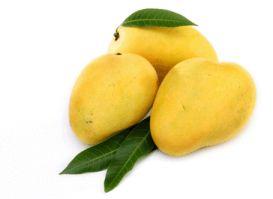 Fresh Baneshan Mango