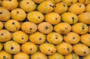 Fresh Chaunsa Mango