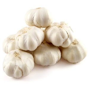 Fresh Organic Garlic