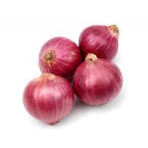 Fresh Organic Onion