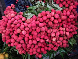 Fresh Red Lychee