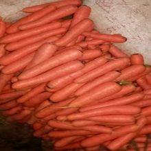 Carrots