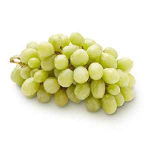 Fresh Grapes