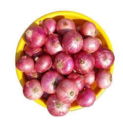 organic red onion