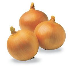 ORGANIC YELLOW ONION