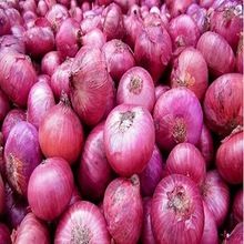 Onion