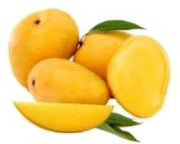 Fresh Alphonso Mango