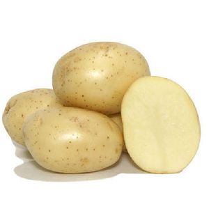 Fresh Badshah Potato