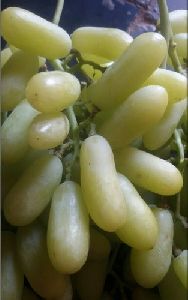 Fresh Green Grapes