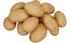 Fresh Natural Potato