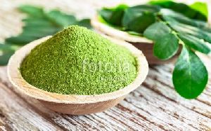 Fresh Moringa Powder