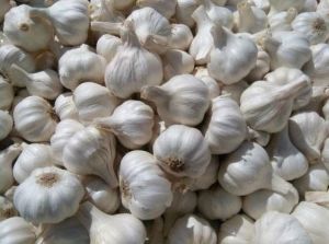 Fresh Ooty Garlic