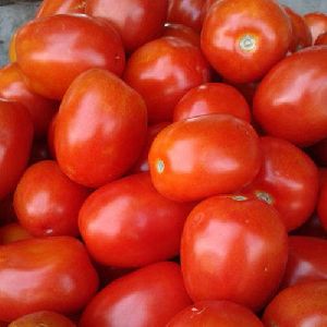 Fresh Red Tomato