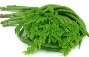 Herbal Moringa Leaves