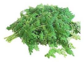 Natural Moringa Leaves