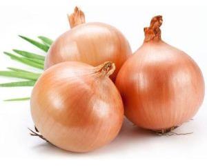 Fresh Shallot Onion