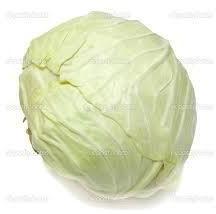 Fresh White Cabbage