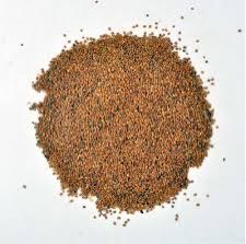 Taramira Seeds