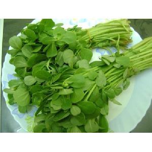 Fresh Fenugreek Leaves