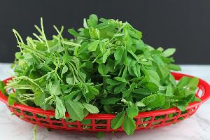 Green Fenugreek Leaves