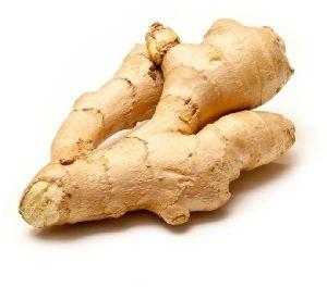 natural ginger