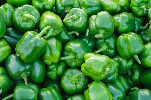 Organic Capsicum