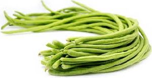 Organic Green Long Beans
