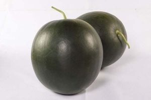 Green Watermelon