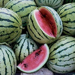 organic watermelon