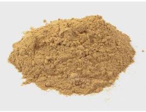 Allium Sativum Extract