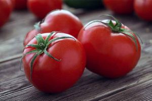 Fresh Red Tomato