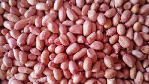 bold peanut kernels