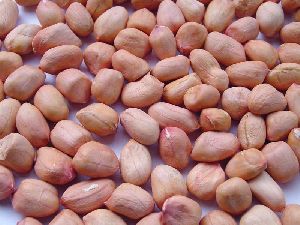 indian peanut kernels