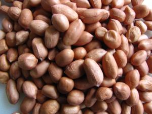 natural peanut kernels