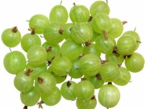 Organic Amla