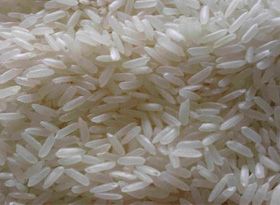 IR-8 Basmati Rice
