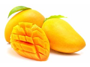 Fresh Alphonso Mango