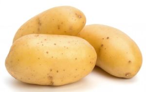 Fresh Brown Potato